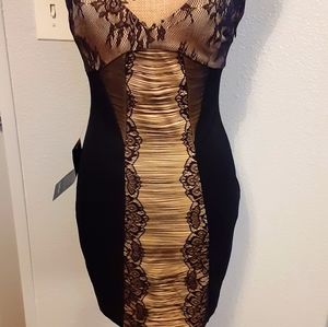 Bebe Black/nude lace dress NWT S